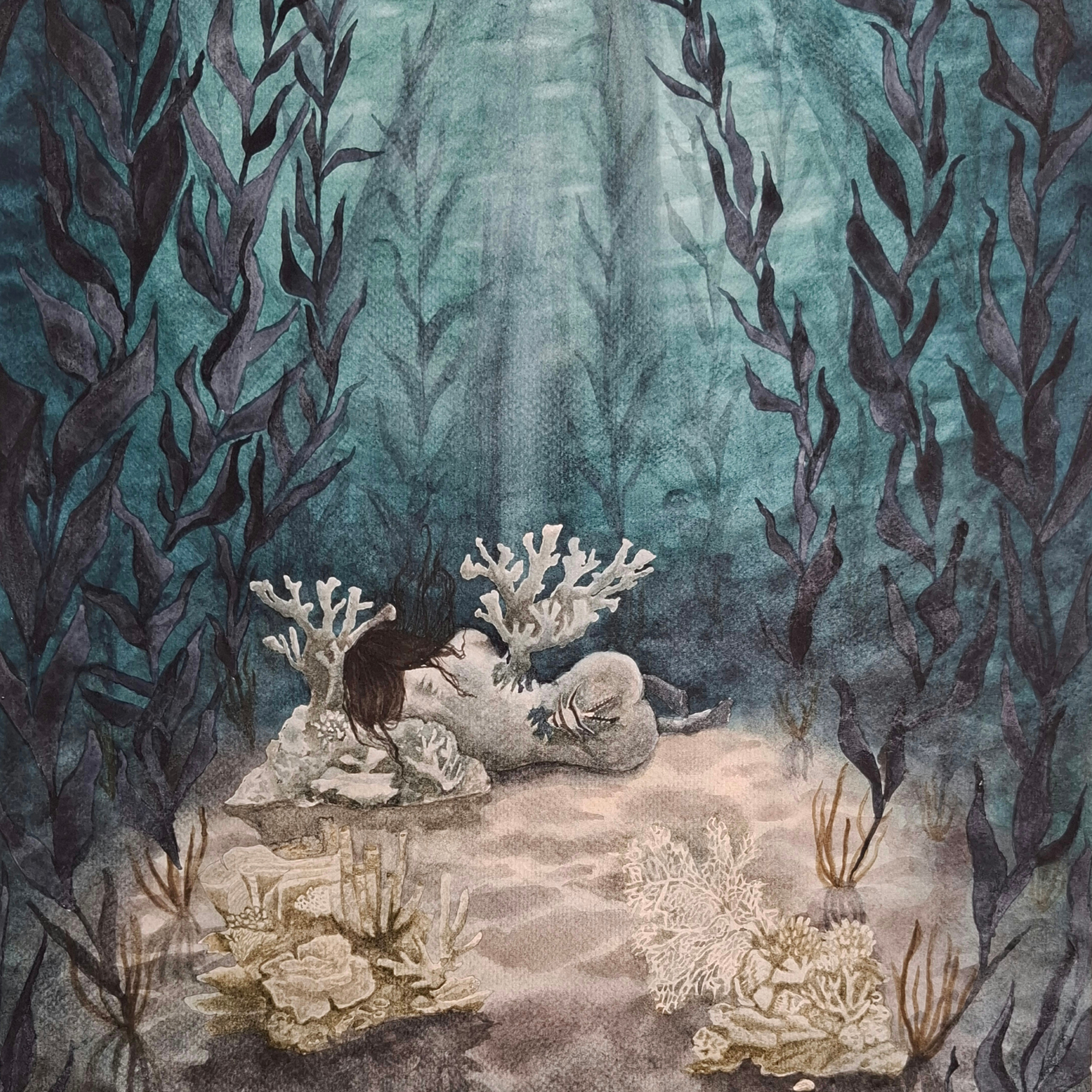 Flores y plantas