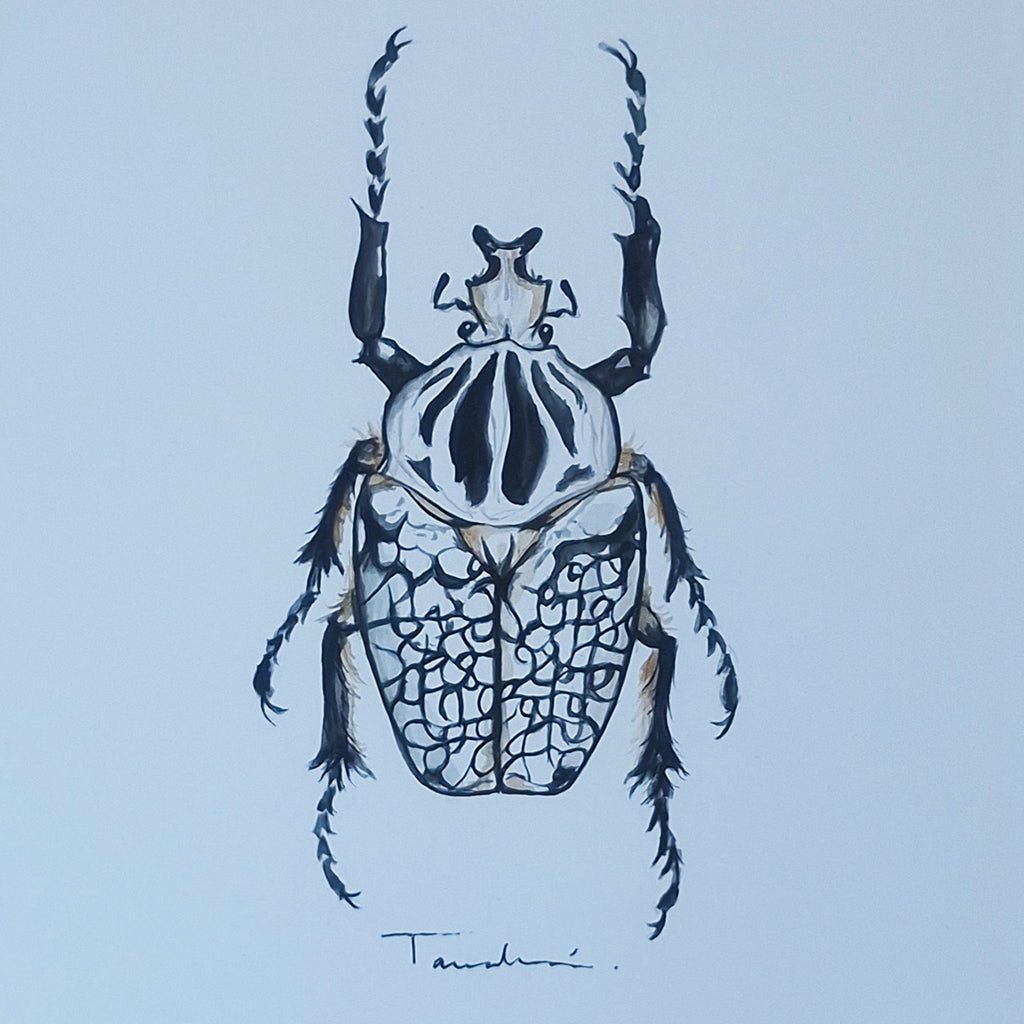 ESCARABAJO 01