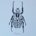 ESCARABAJO 01