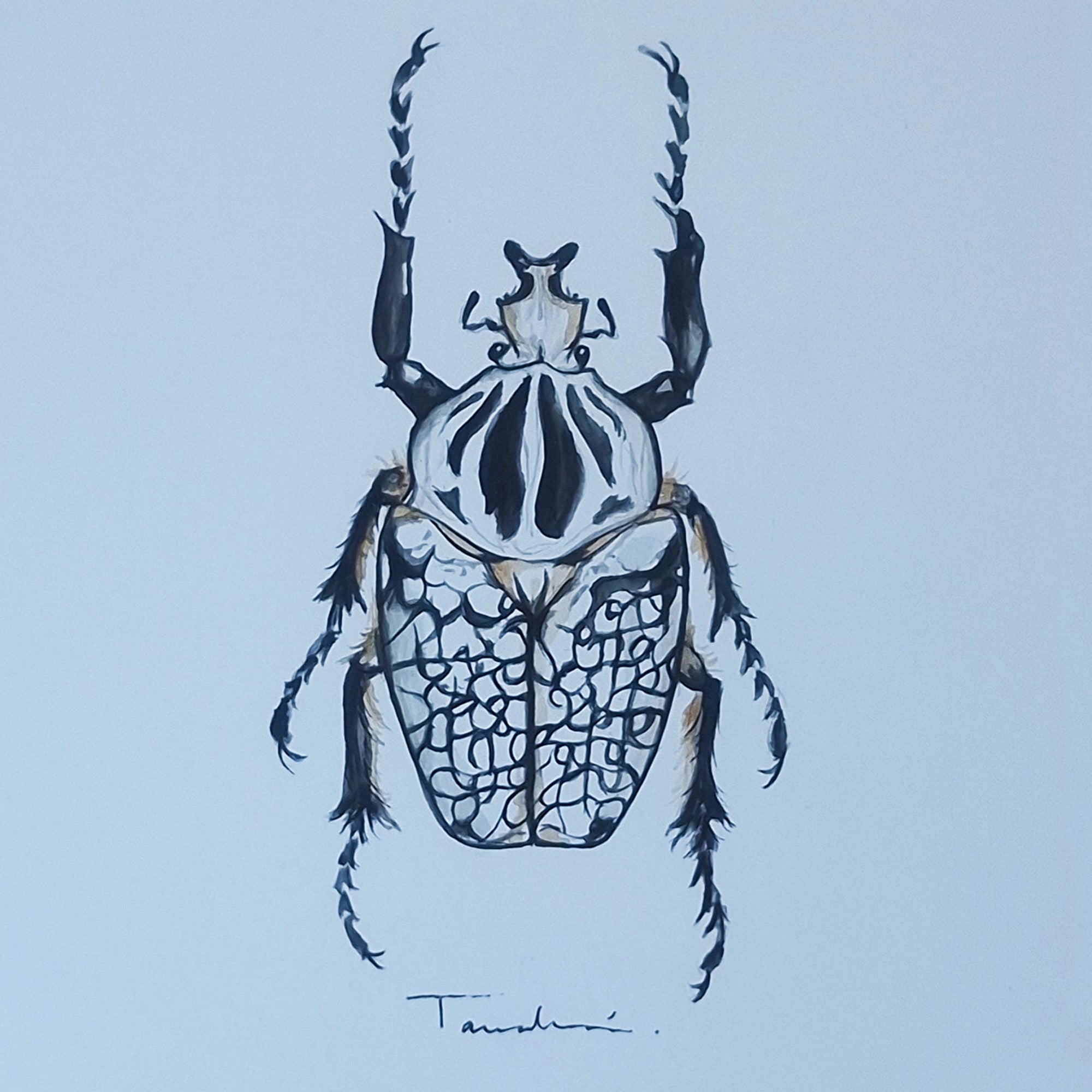 ESCARABAJO 01
