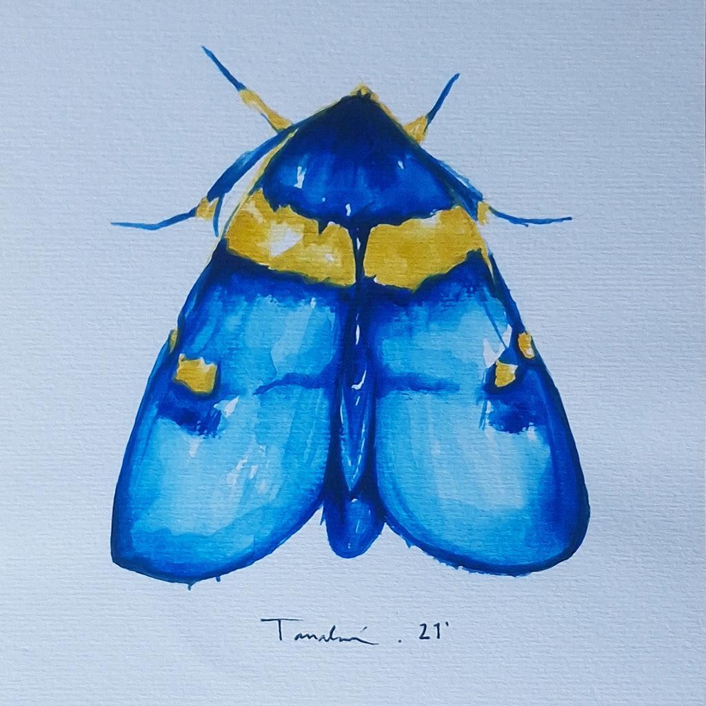 POLILLA
