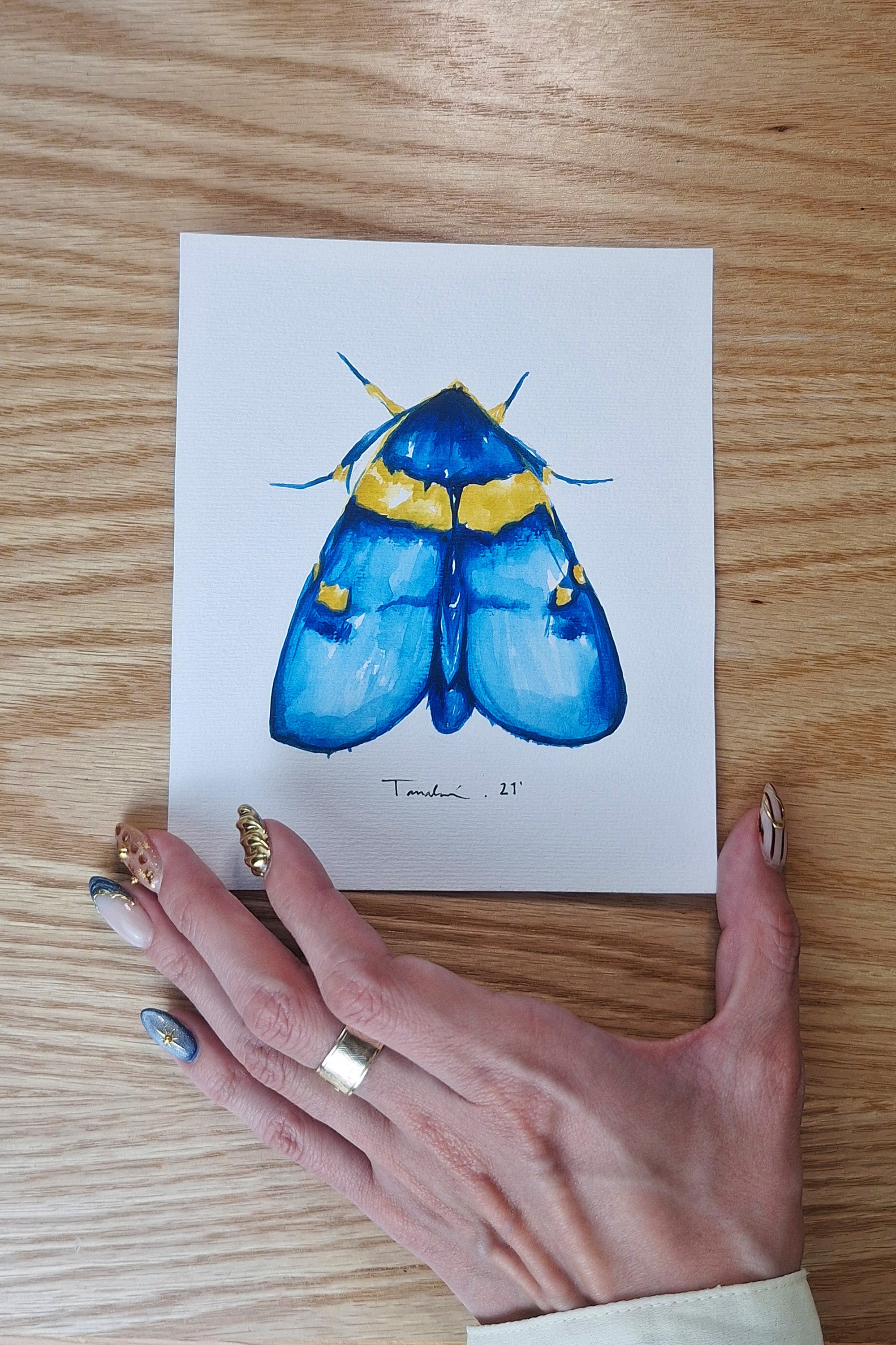 POLILLA