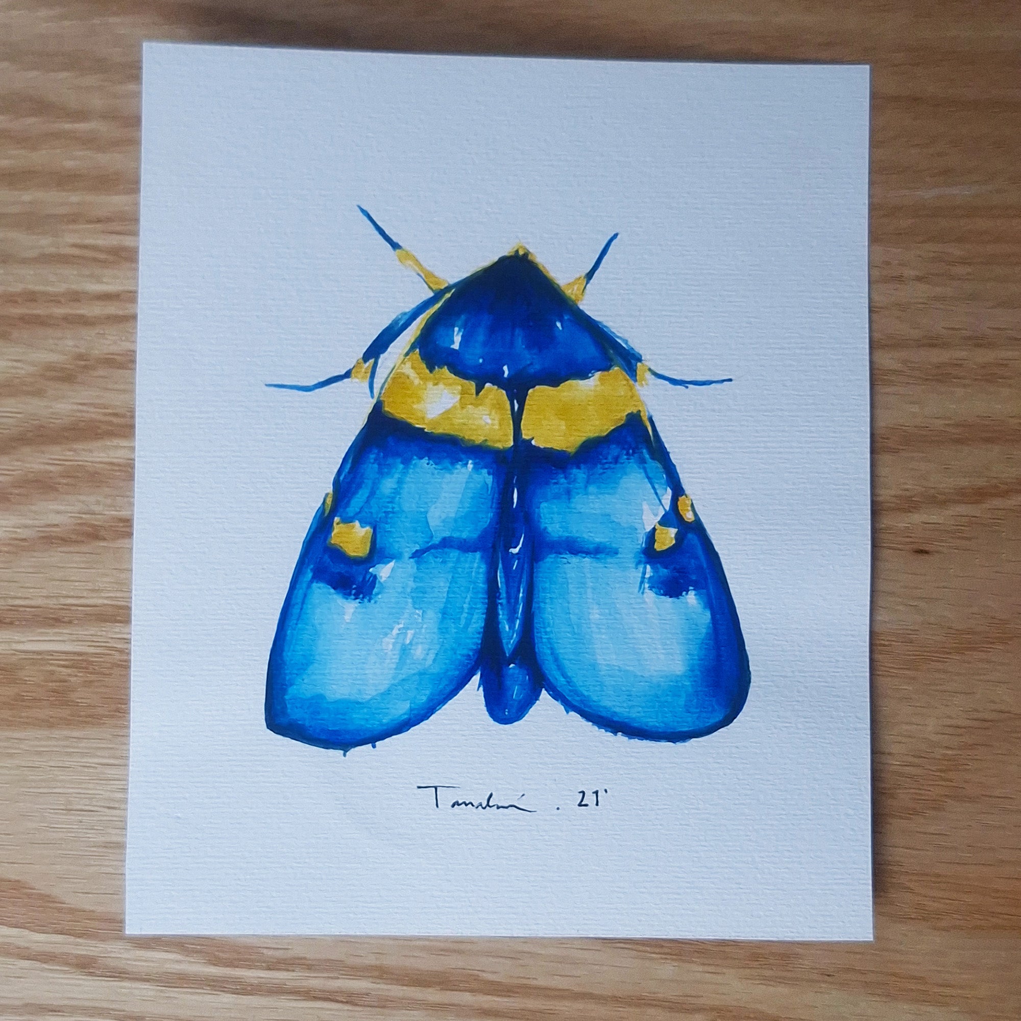 POLILLA