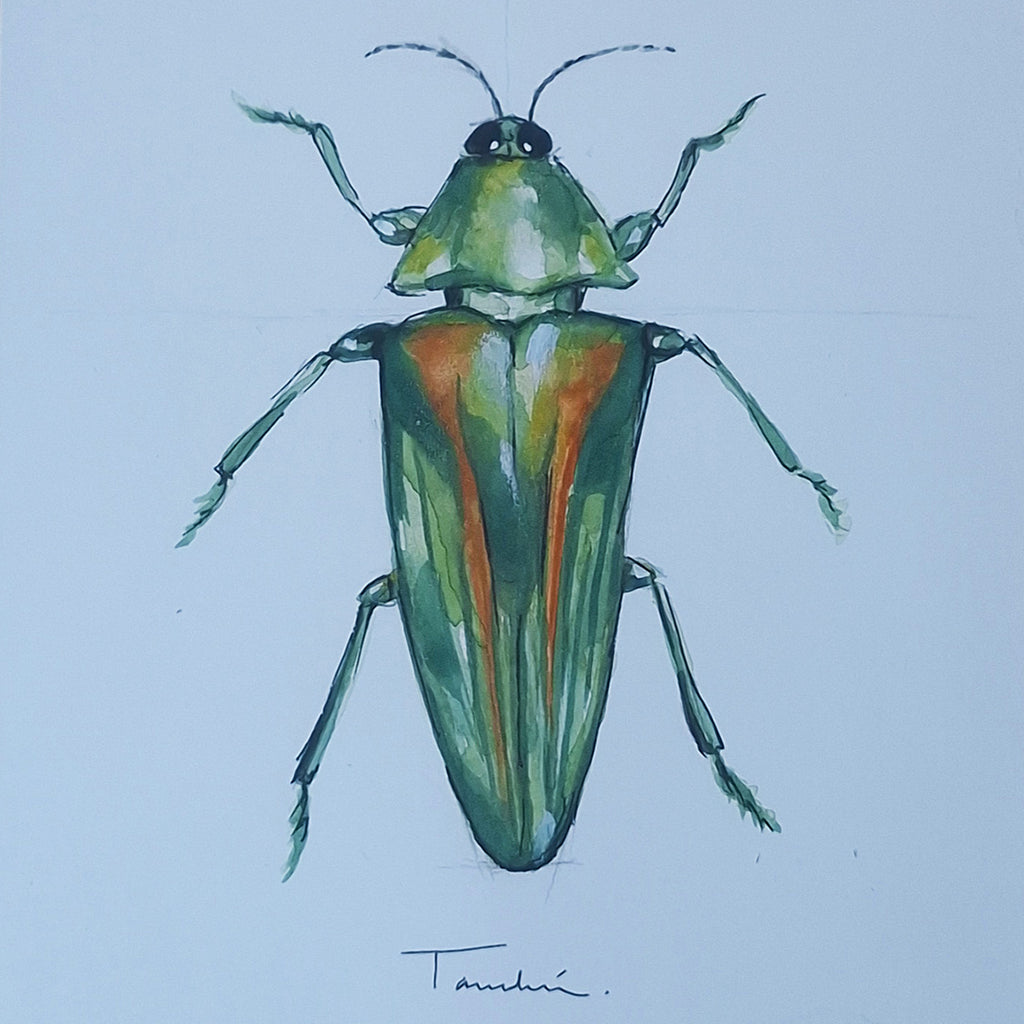 ESCARABAJO 03