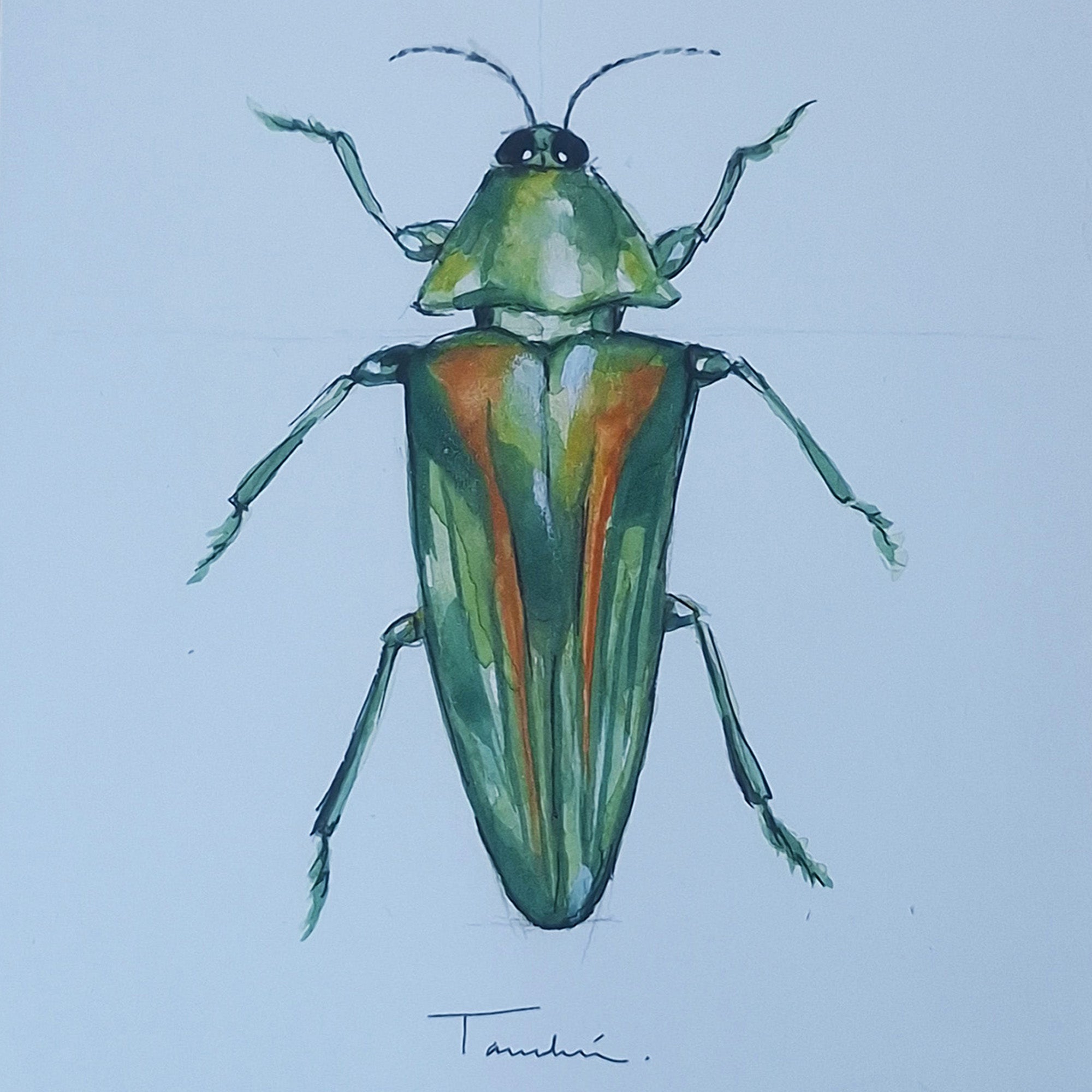 ESCARABAJO 03