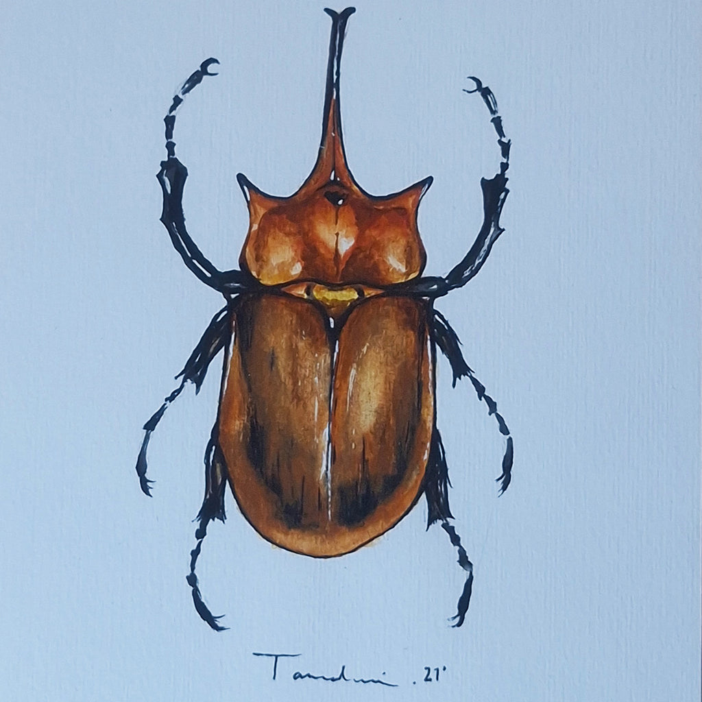 ESCARABAJO 02