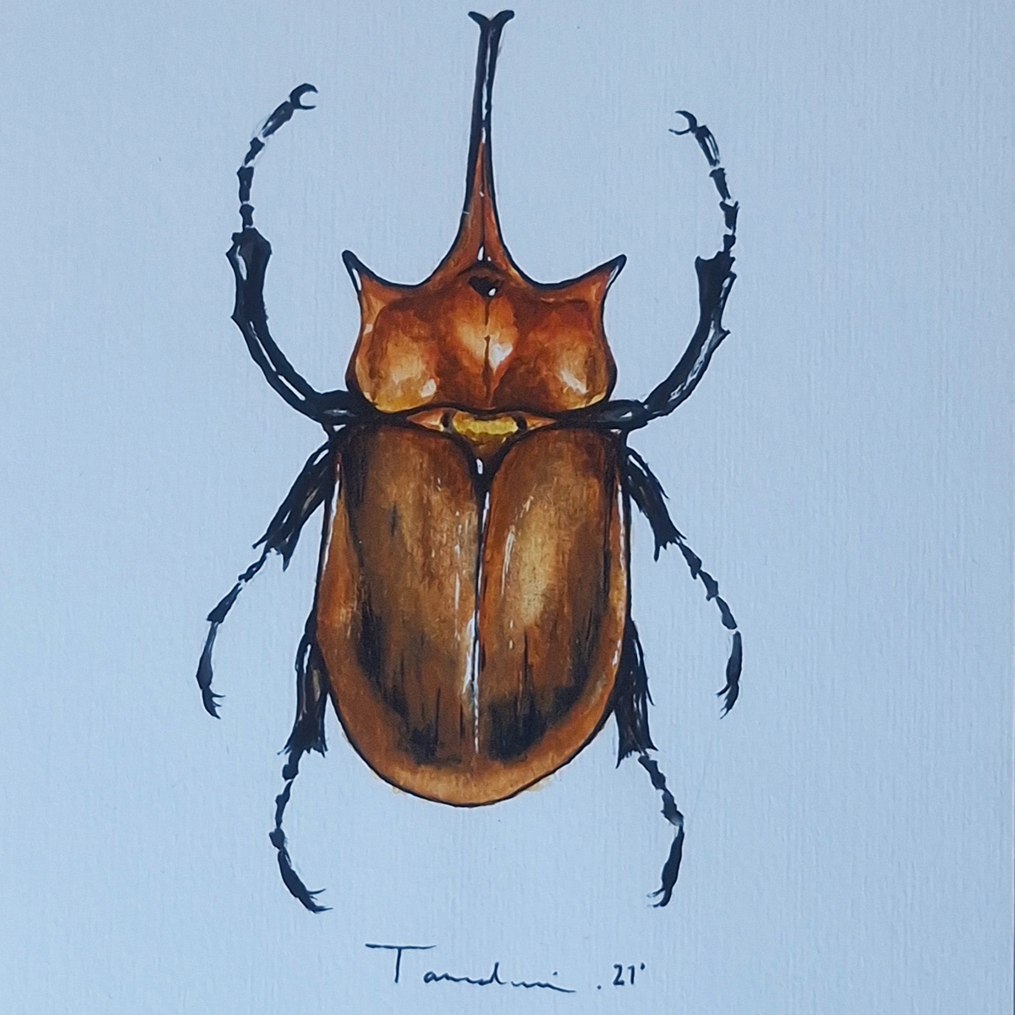 ESCARABAJO 02