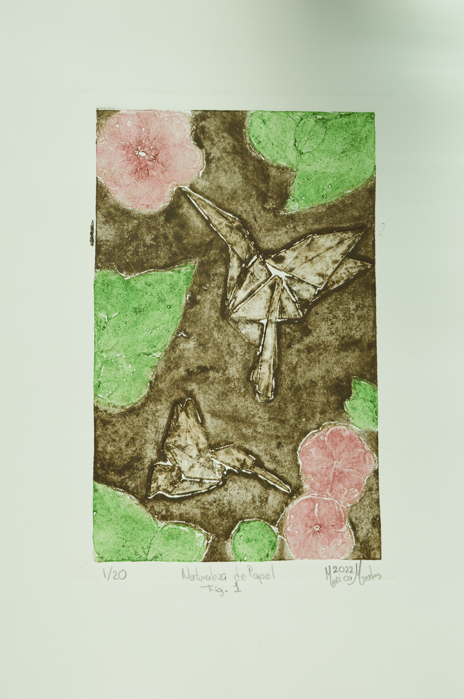 Naturaleza de papel Fig. 1, serie 1/20