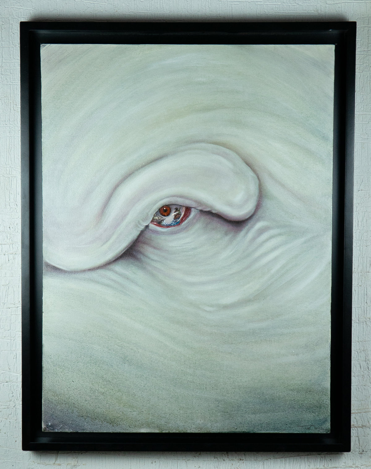 Ahab: Monomanía