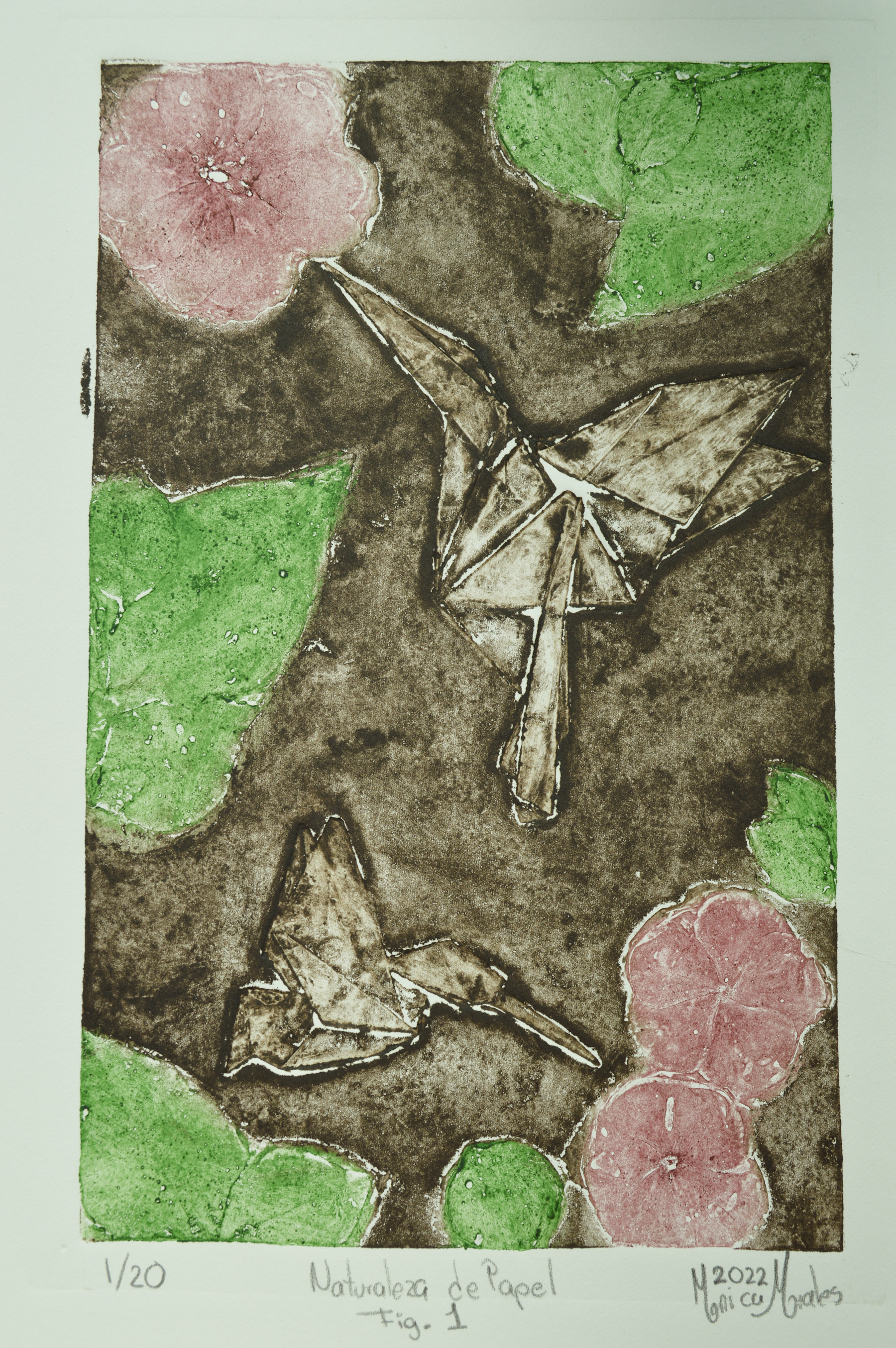 Naturaleza de papel Fig. 1, serie 1/20