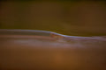 El filo del agua III