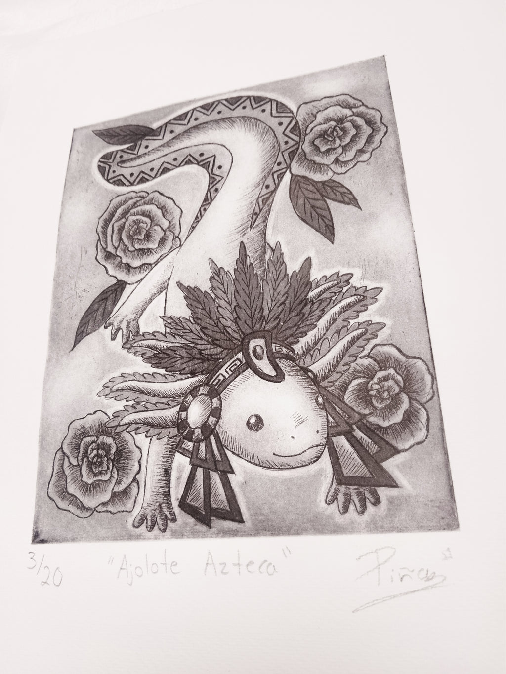 Ajolote Azteca