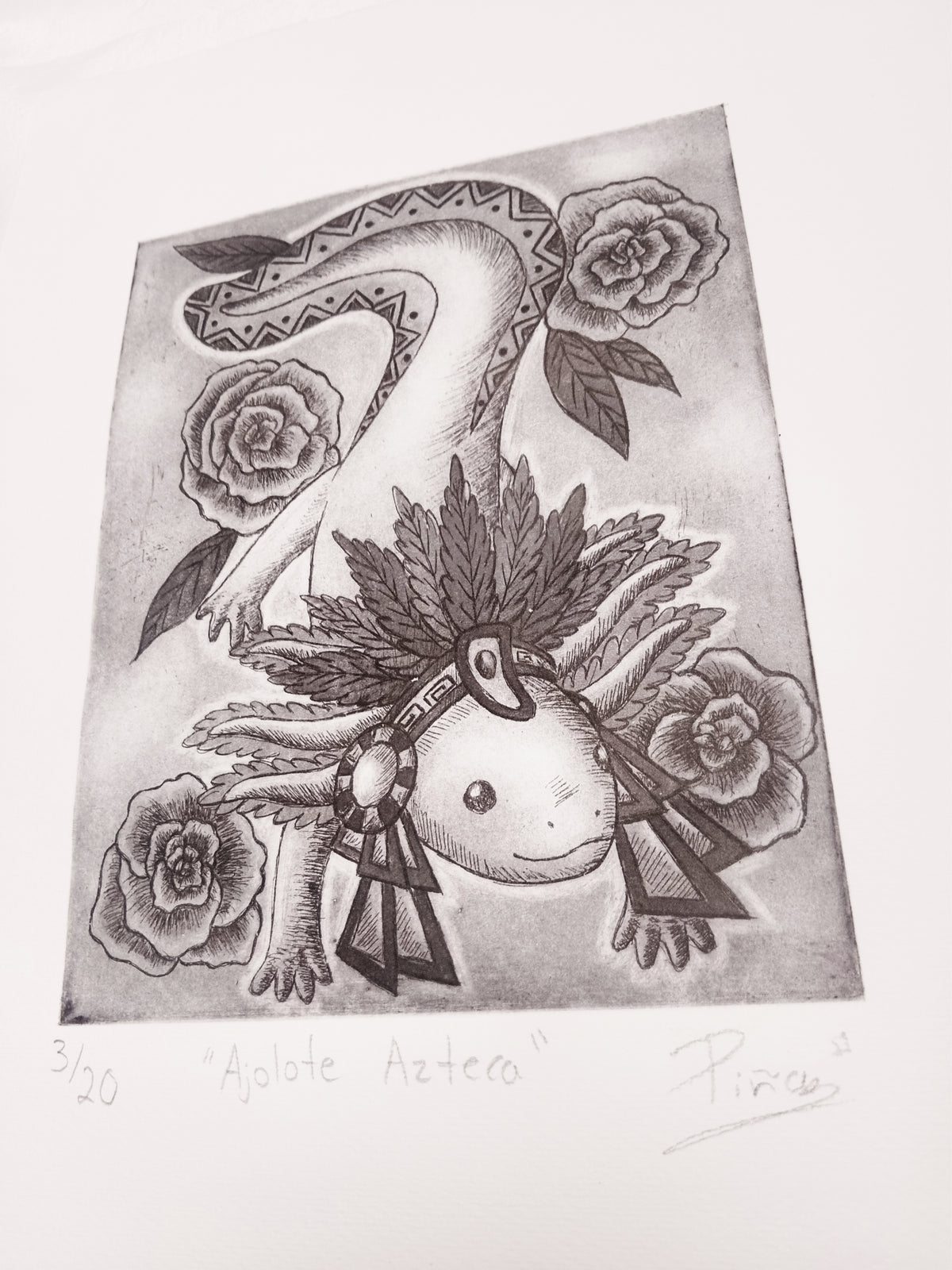 Ajolote Azteca
