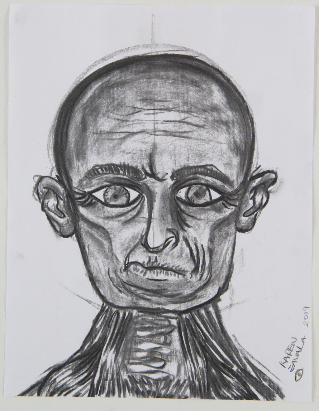 Anatomía