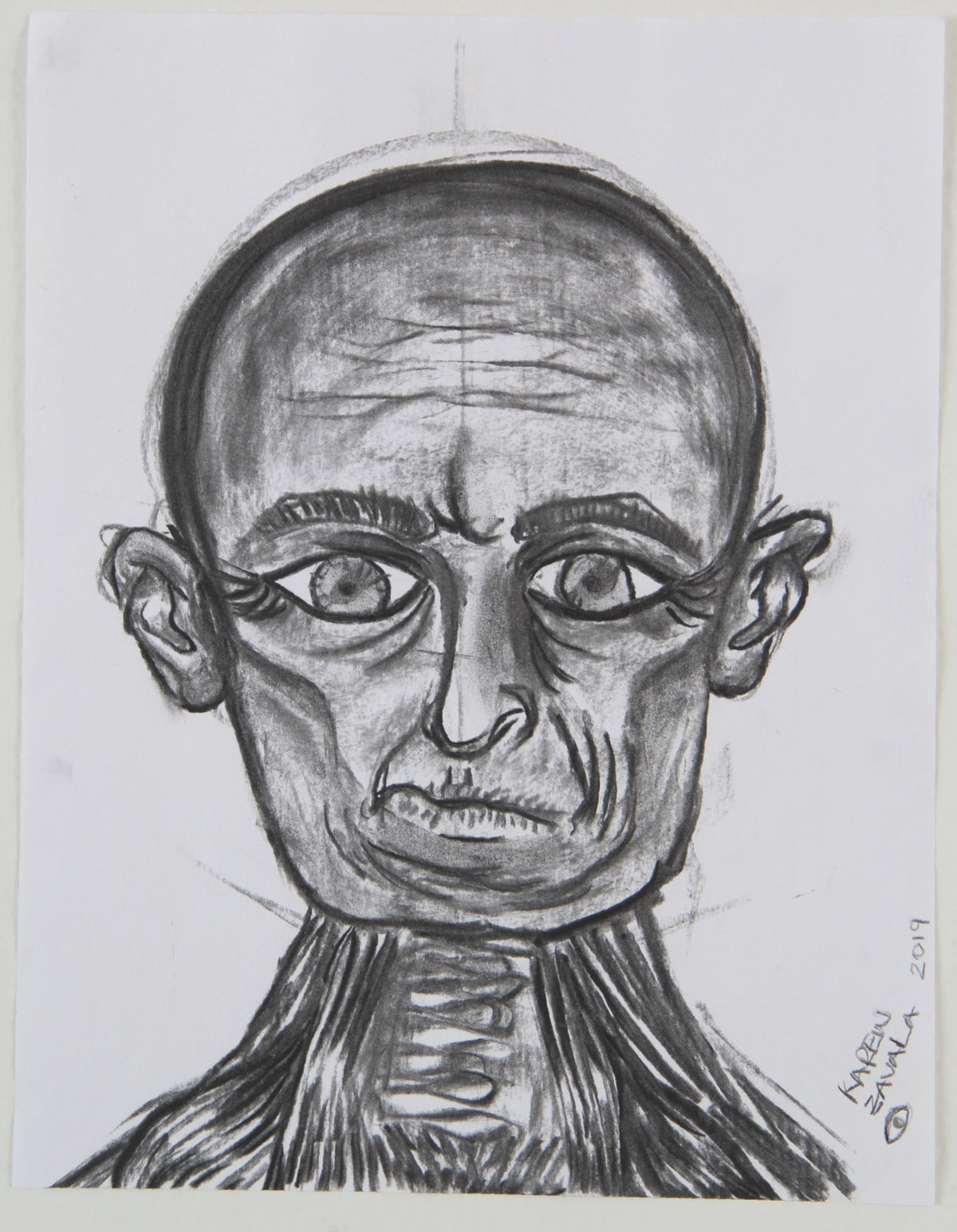 Anatomía
