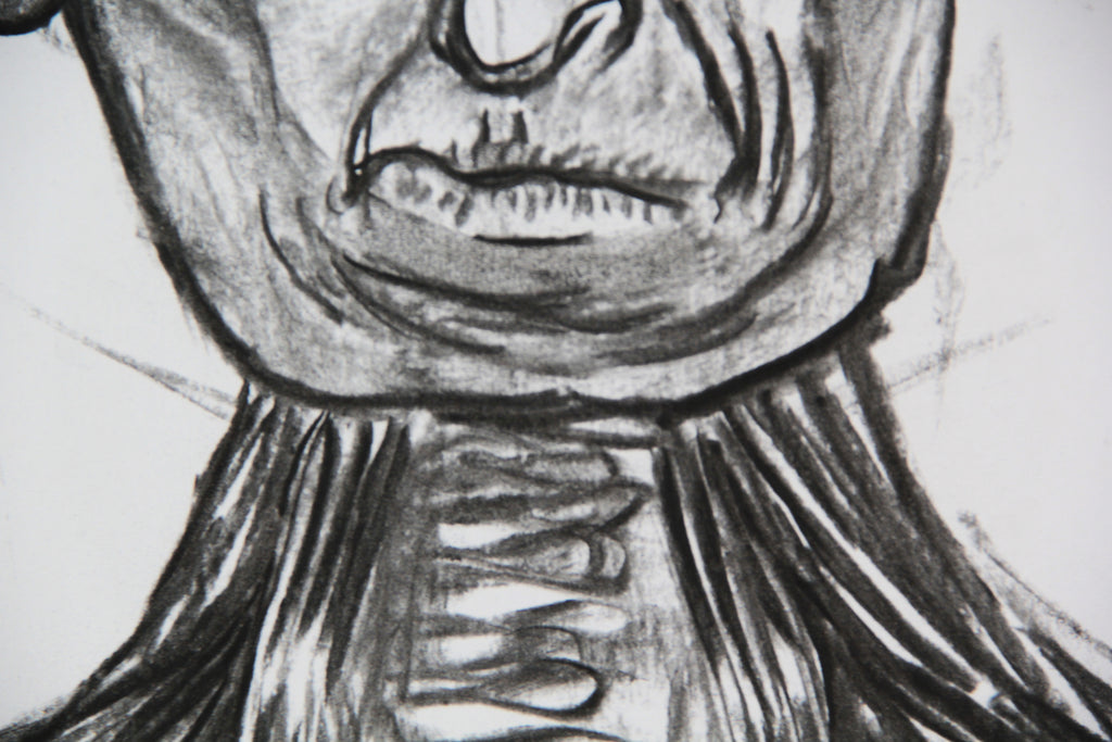 Anatomía