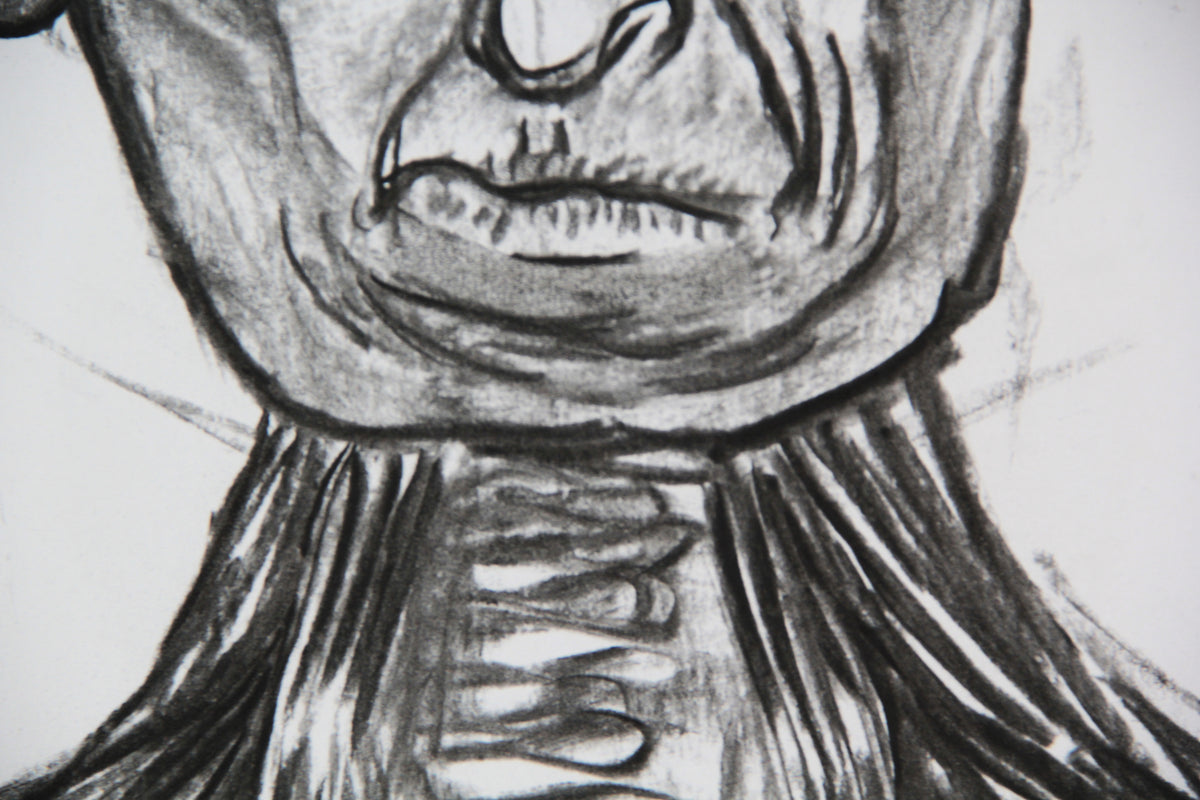 Anatomía