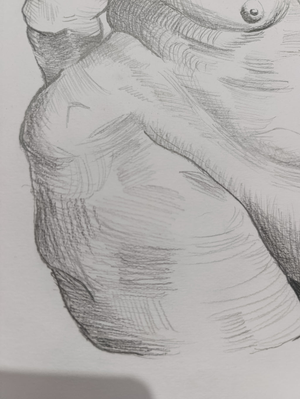 Human Anatomy