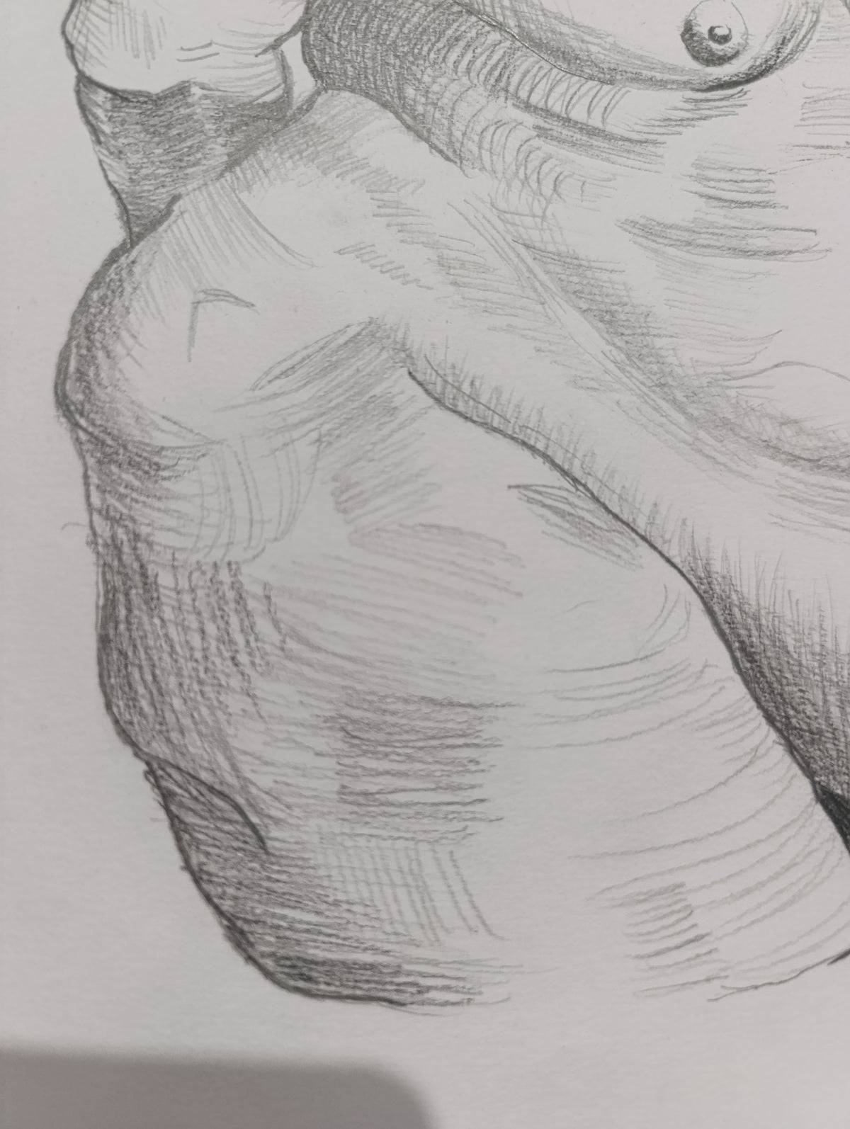 Anatomía Humana