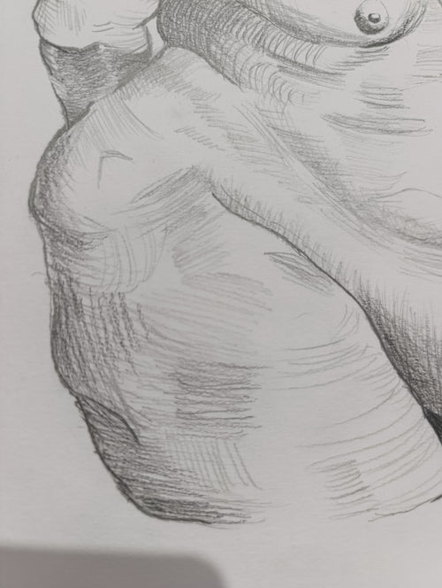 Human Anatomy