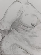 Human Anatomy