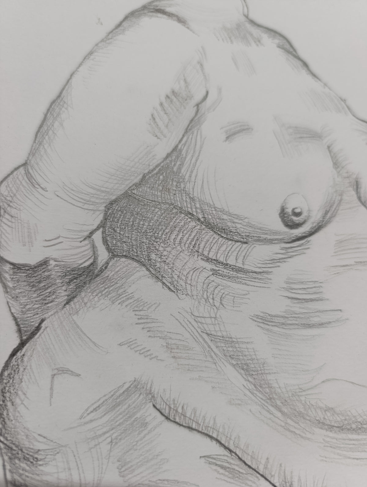 Anatomía Humana