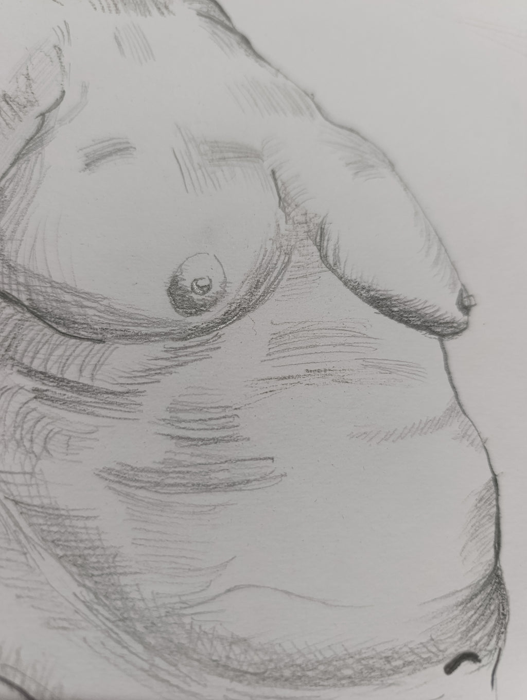Human Anatomy