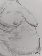 Human Anatomy