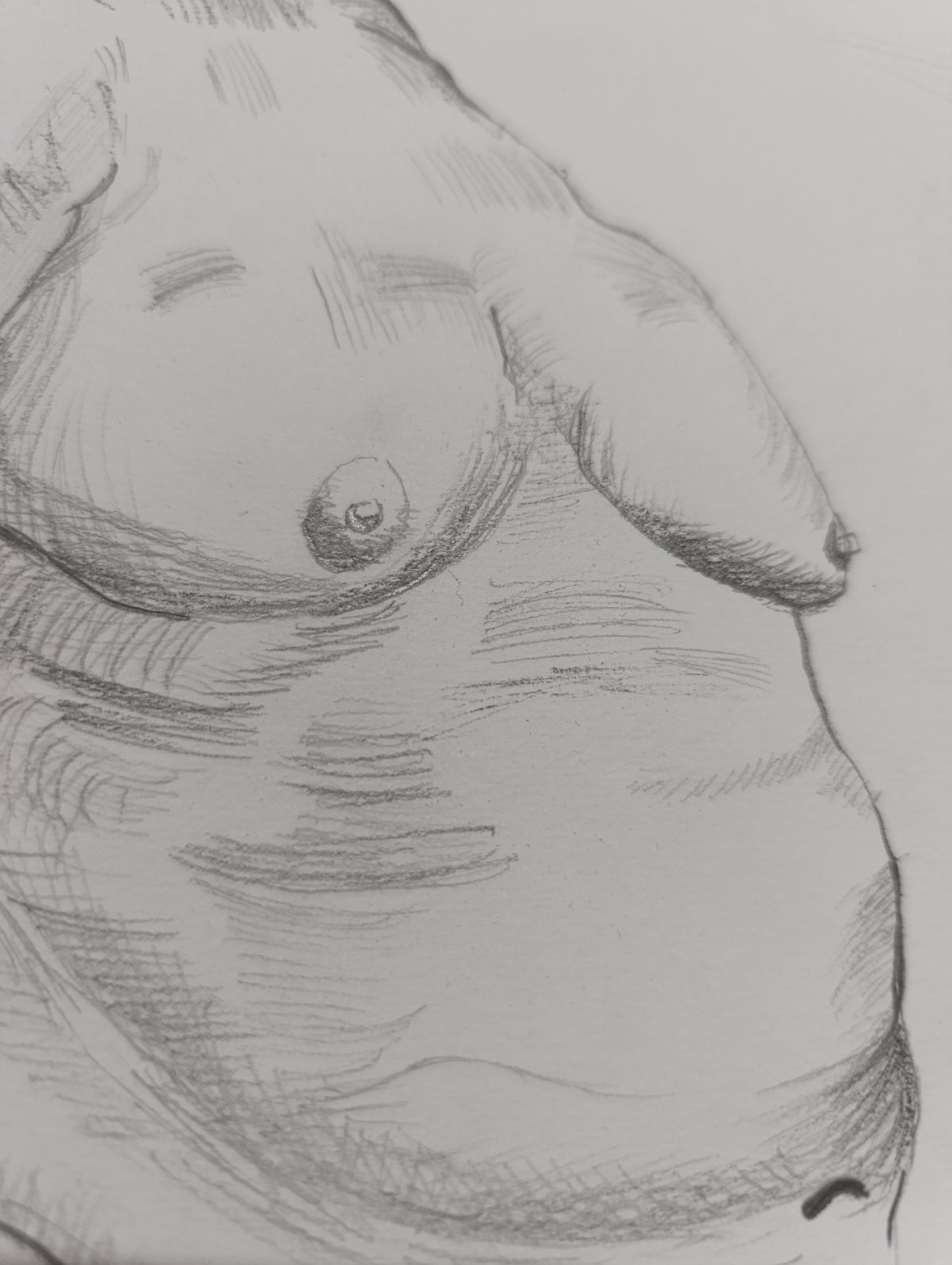 Anatomía Humana