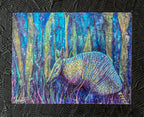 El Armadillo y las luciérnagas