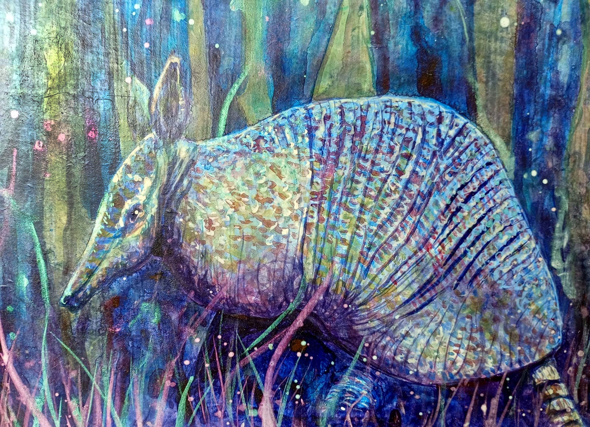 El Armadillo y las luciérnagas