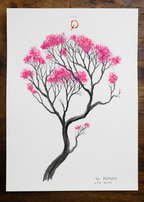 Vita Rosea