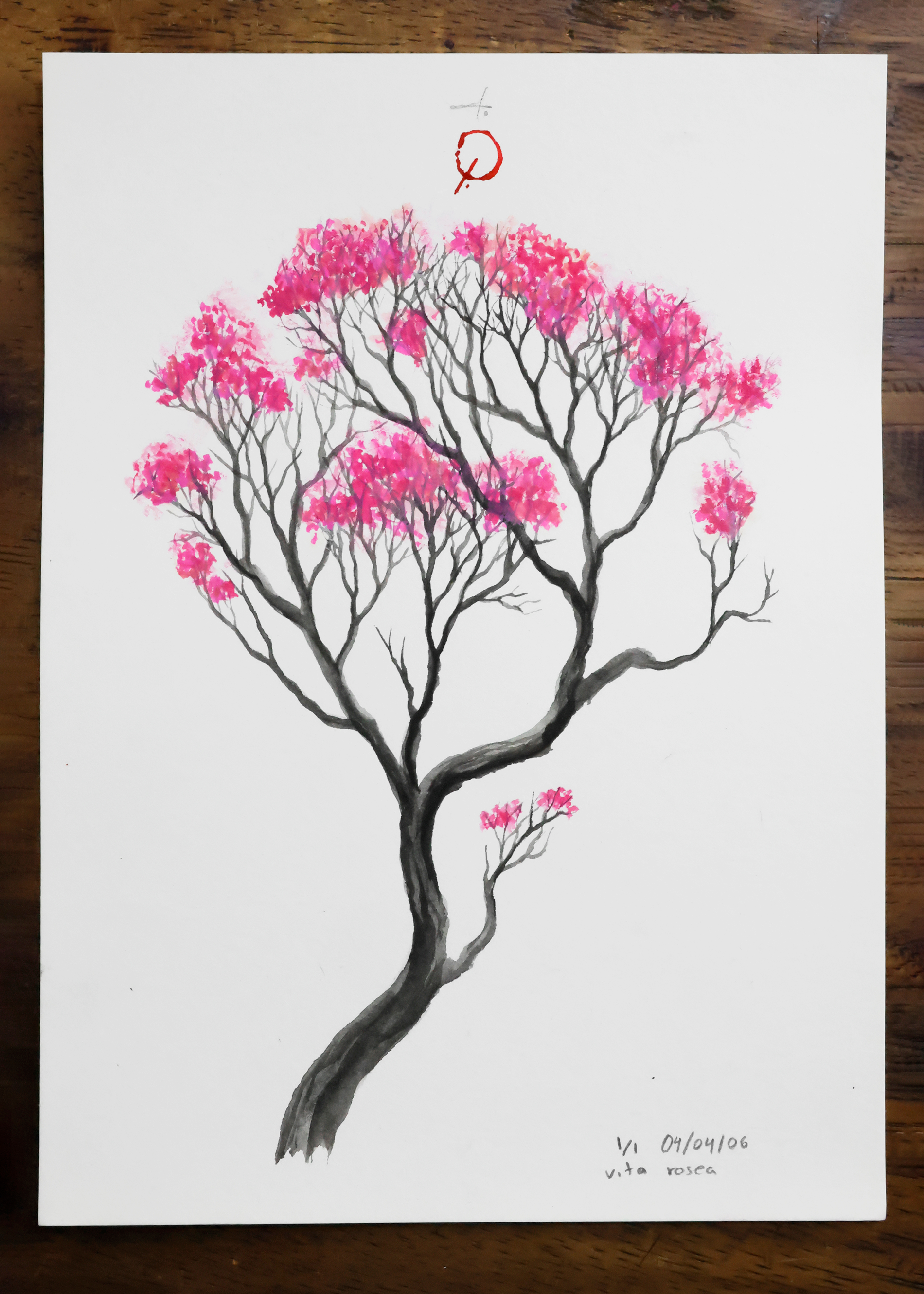 Vita Rosea