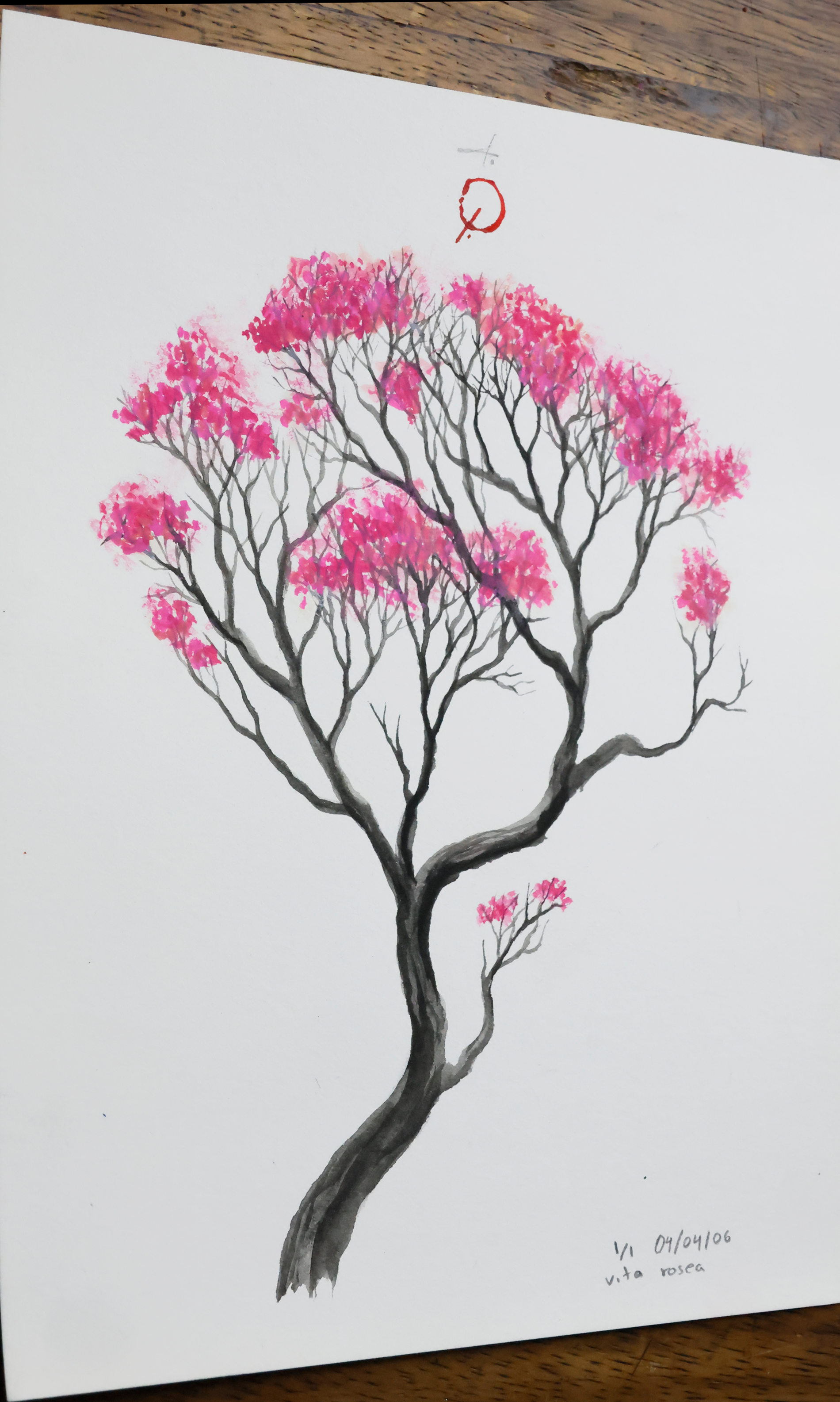 Vita Rosea
