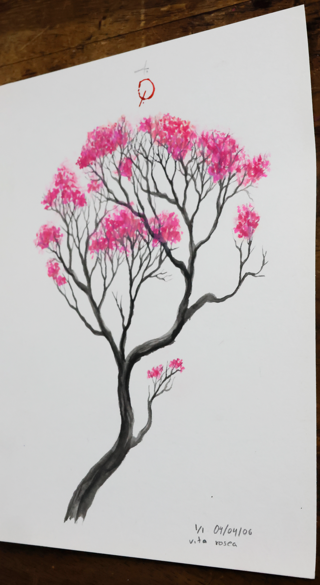 Vita Rosea