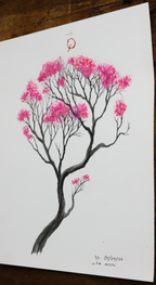 Vita Rosea