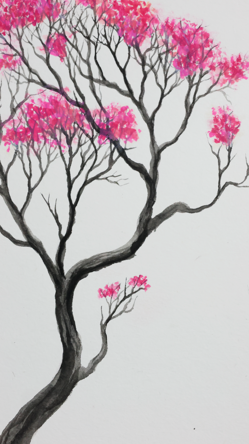 Vita Rosea