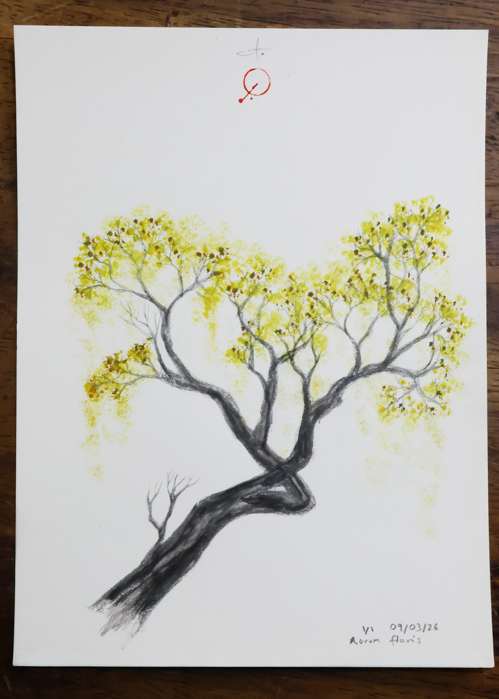 Aurum floris