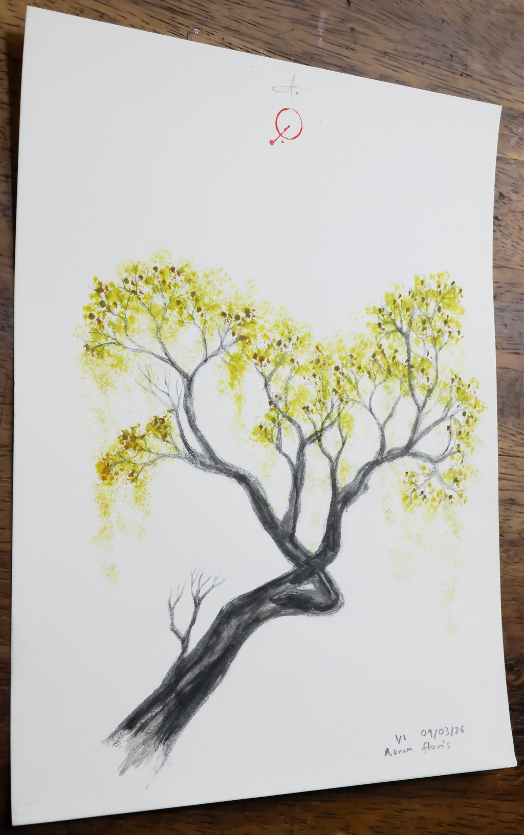 Aurum floris
