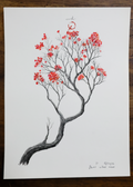 Flores vitae meae