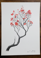 Flores vitae meae