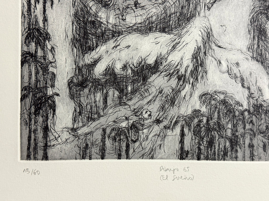 Dibujo 65 (El sueño)