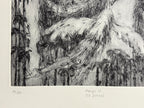 Dibujo 65 (El sueño)