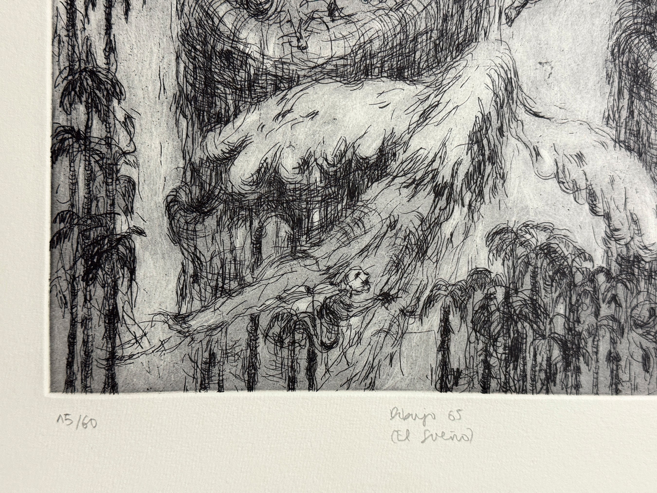 Dibujo 65 (El sueño)