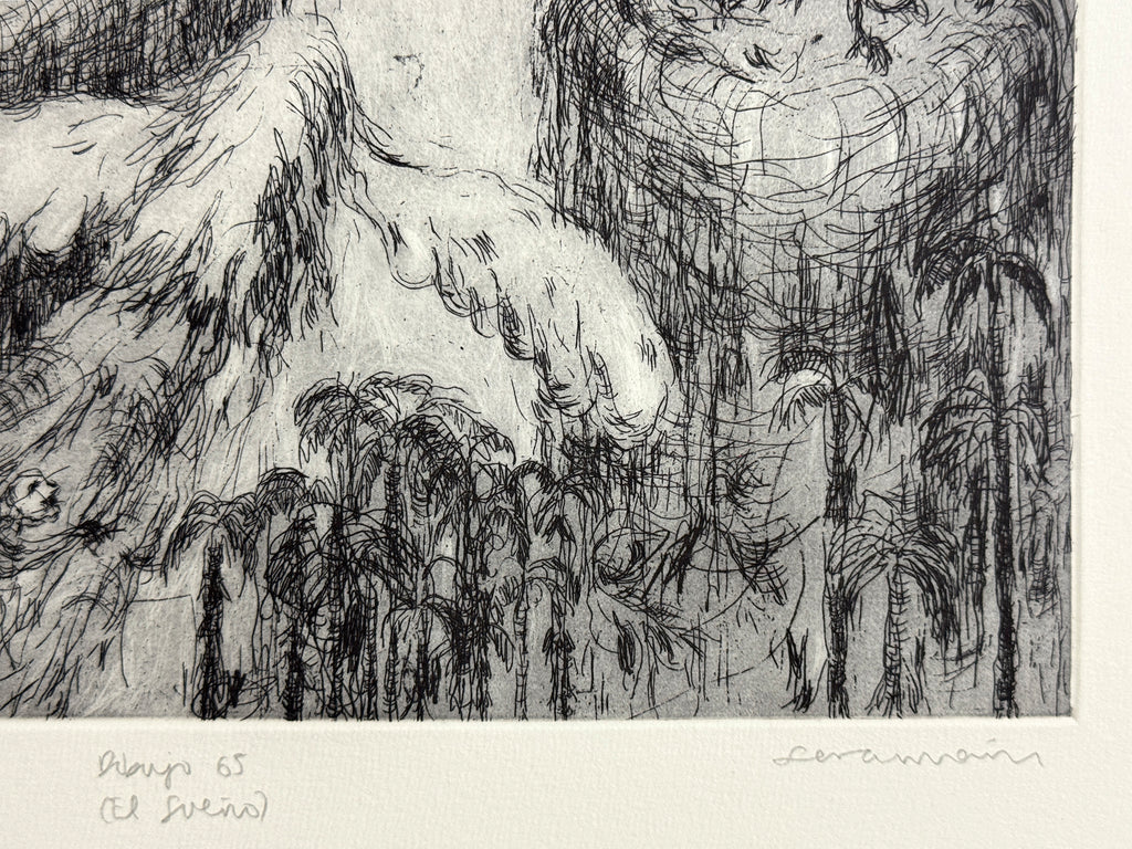 Dibujo 65 (El sueño)