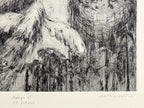 Dibujo 65 (El sueño)