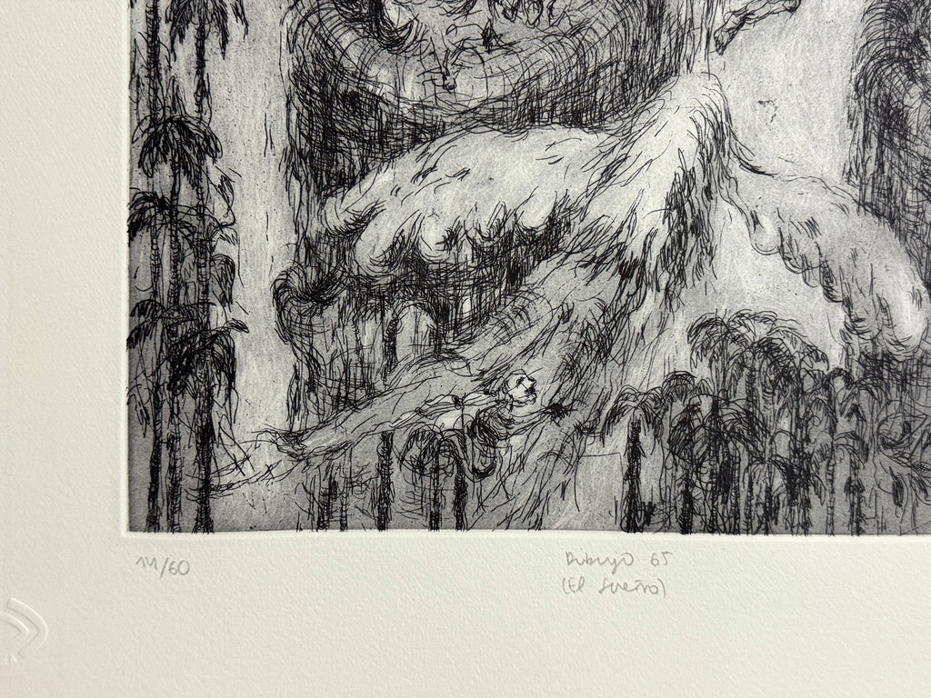 Dibujo 65 (El sueño)
