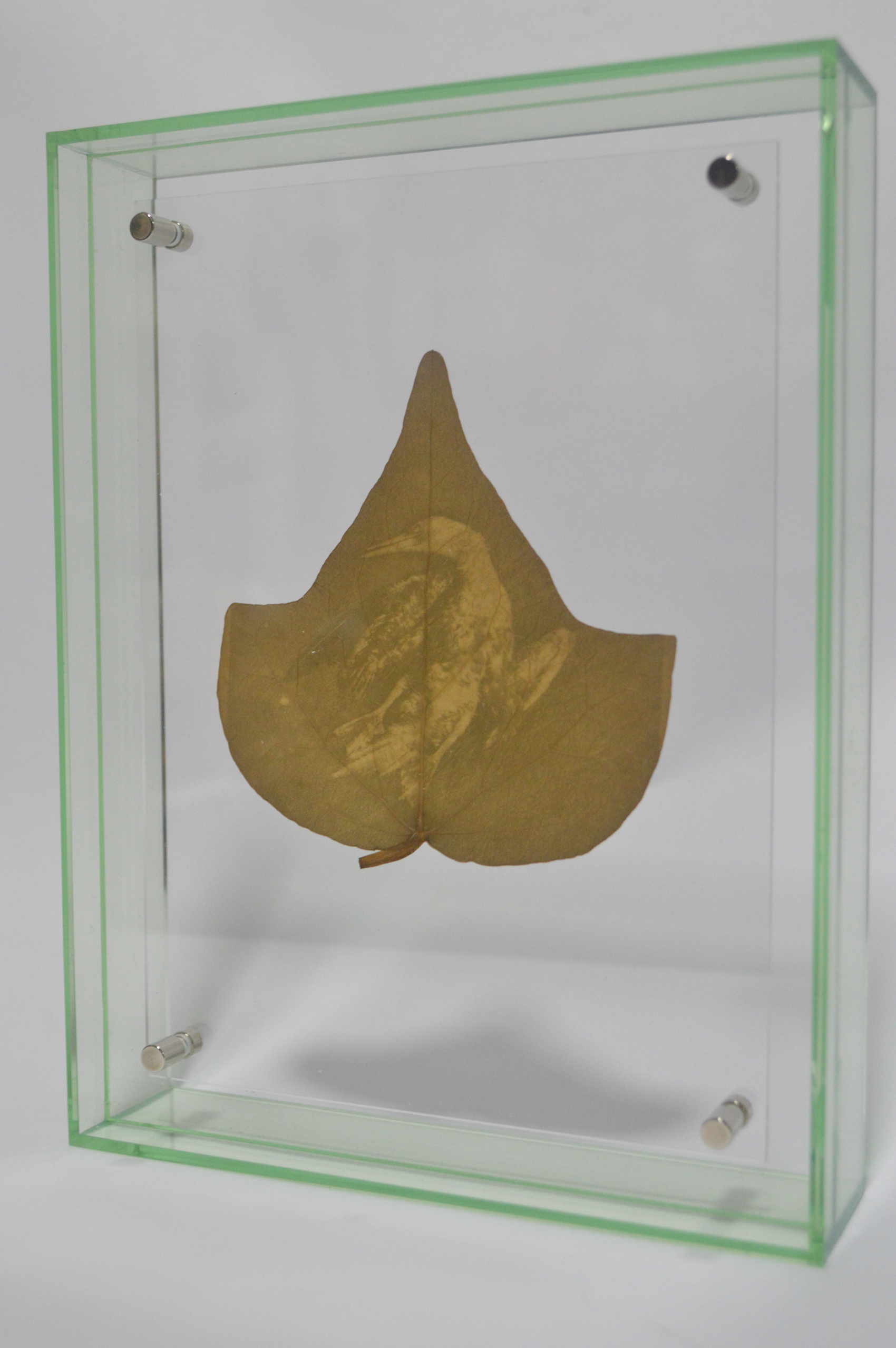 Esto es Naturaleza Muerta