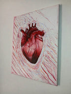 Corazón