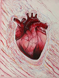 Corazón